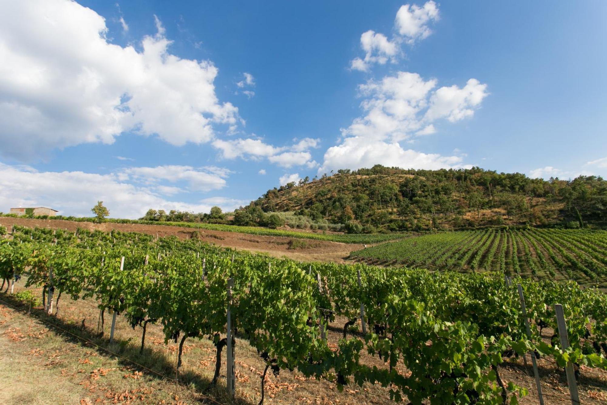 Villa Rosano Greve in Chianti Zewnętrze zdjęcie